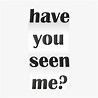 Have You Seen Me Poster Template