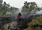 印尼山火漫天煙霾 逾50萬人患呼吸道感染｜即時新聞｜生活｜on.cc東網