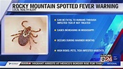 How To Treat Rocky Mountain Spotted Fever In Dogs