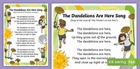 The Dandelions Are Here Song | Song | Nature | Twinkl