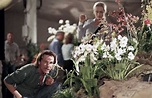 Foto de Chris Cooper - Adaptation (El ladrón de orquídeas) : Foto Chris ...