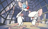 Actor de "Animaniacs" confirma: ¡Pinky y Cerebro están de regreso!
