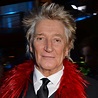 Rod Stewart Net Worth (Updated January 2024) Age, Height, Weight, Bio...