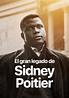 Sidney - película: Ver online completas en español