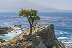 Visitor's Guide to Pebble Beach, California
