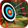 Royal Archery Champions : 3D Bow & Arrow Game by jolta technology limited