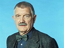 Karl-Heinz von Hassel Schauspieler / actor 1939 -2016 R.I.P ...