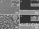 a, c Top view and b, d cross-sectional SEM images of nanoparticle ...