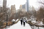 Febrero en Nueva York - Qué hacer y el tiempo (2024)