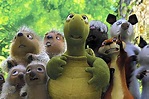 Over the Hedge by Tim Johnson Movie Photos and Stills - Fandango