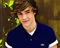Image - Liam-liam-payne-30152216-1280-1024.jpg | One Direction Wiki ...