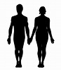 Comparativa del cuerpo humano - Hombre y Mujer - Cristina