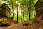 Teufelsschlucht, Naturpark Südeifel, … – Bild kaufen – 71055673 Image ...