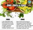 GMO's Pros & Cons | Genetically modified food, Gmo foods, Nutritious meals