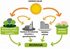 Como Funciona A Biomassa - EDULEARN