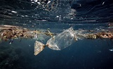 ¿Qué pasa con el plástico en el mar? La invasión del ser humano