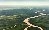 Río Amazonas: características, nacimiento, recorrido, flora, fauna