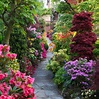 Four Seasons Garden - The most beautiful home gardens in the world | Most beautiful places in ...