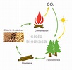 The Green House: Otra energía renovable, la Biomasa