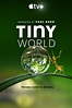 Tiny World (Serie de TV) (2020) - FilmAffinity