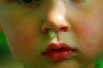 What is snot? — Science Learning Hub