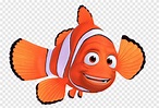 Marlin Finding Nemo Clownfish, starfish, food, animals png | PNGEgg