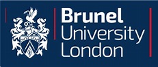 Brunel University London | HiDALGO
