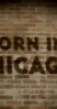Born in Chicago (2020) - IMDb