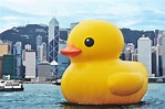 Hong Kong | Rubber duck, Rubber ducky, Duck