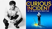 Mickey Rowe Is First Actor with Autism to Play Lead in "Curious ...