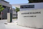 Ranking mundial destaca Universidade do Algarve pela sua projeção ...