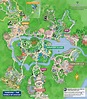 Disney's Animal Kingdom Theme Park e suas atrações - Foco em Orlando