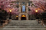 U of T ranked the top university in Canada