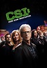 CSI: Las Vegas - Ver la serie de tv online