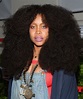 Erykah Badu - Erykah Badu Photo (43746624) - Fanpop