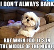 11 National Dog Day Memes That Are Just As Hilarious As They Are Cute