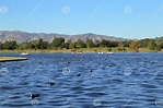 See-Balboa-Park in Van Nuys, Kalifornien Stockbild - Bild von vögel ...