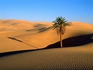 TodoCantoDoMundo: Deserto do Saara, norte da África