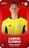 Rare card of Gabriel Slonina - 2022-23 - Sorare