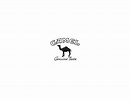 Camel - Logo Download - Logo Download Grátis - EPS, CDR, AI