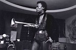Don Alias and Miles Davis article @ All About Jazz
