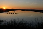 Tulare Lake Basin - Water Education Foundation