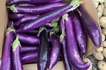 10 Types of Eggplant—and What to Do With Them | MyRecipes