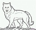 磊 Dibujos de lobos【+250】rapidos para colorear – Dibujos para Colorear