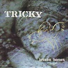 Tricky – Broken Homes (1998, Cardboard Sleeve, CD) - Discogs