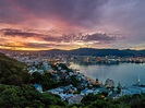 When Is the Best Time to Visit Wellington? | Travel Insider