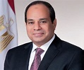 Abdel Fattah El-Sisi Biography - Facts, Childhood, Family Life ...