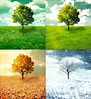 Was sind die 4 Arten von Jahreszeiten?? – just-for-kids.com