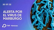 Virus de Marburgo: qué es y cuáles son los síntomas - YouTube