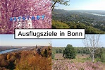 Ausflugsziele in Bonn und Umgebung | 14 Ideen für das ganze Jahr